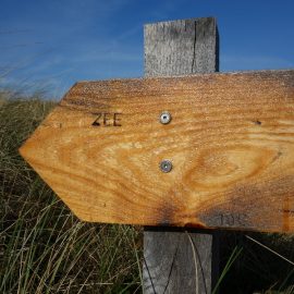 Schoorlse duinen, zaterdag 13 oktober 2018 Schoorlse duinen, zaterdag 13 oktober 2018